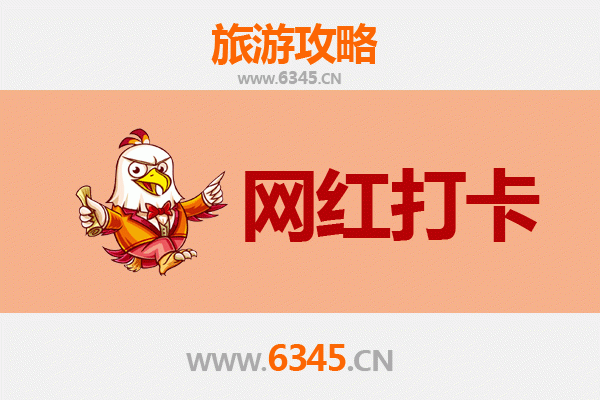 沧县网红打卡地全攻略：古韵新风，拍照必去清单